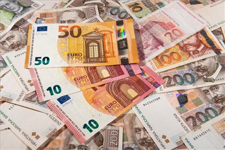 Temeljni kapital u eurima Temeljni kapital u eurima